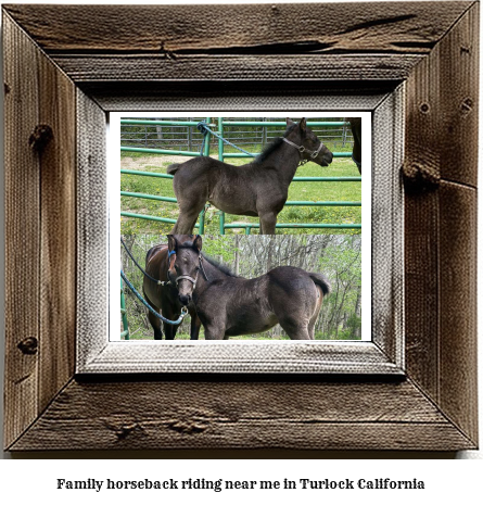 family horseback riding near me in Turlock, California